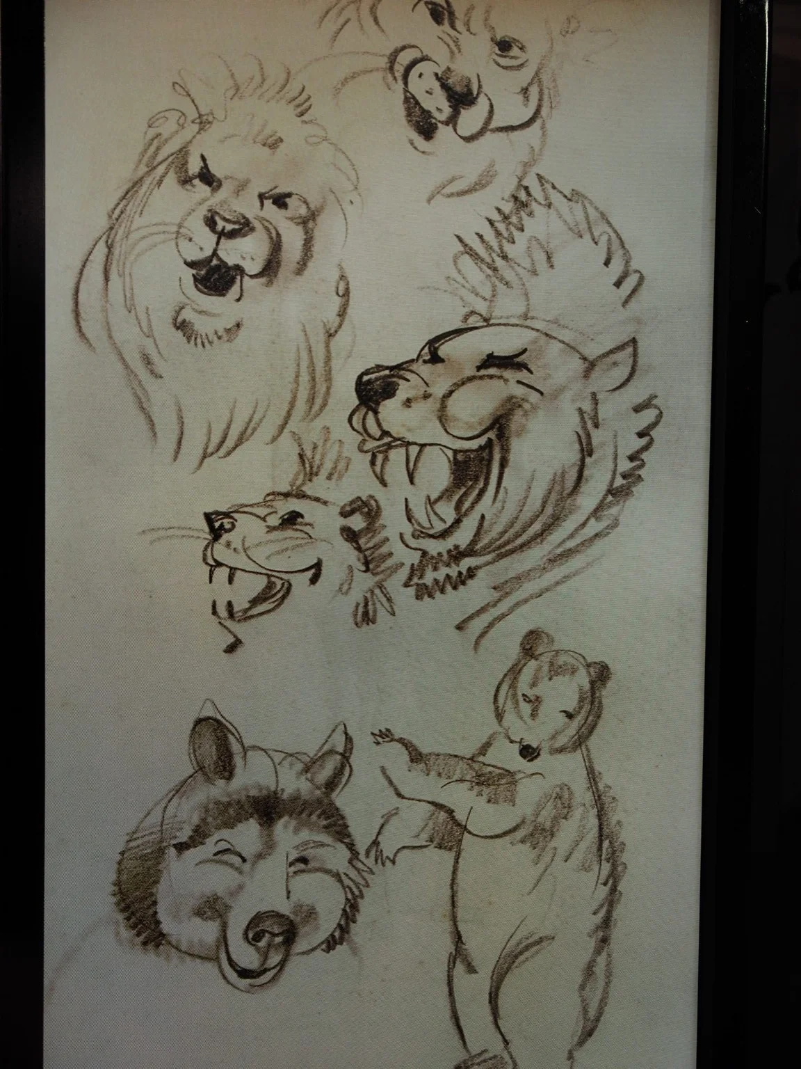 Expressive animal character sketches on display in the exhibition.