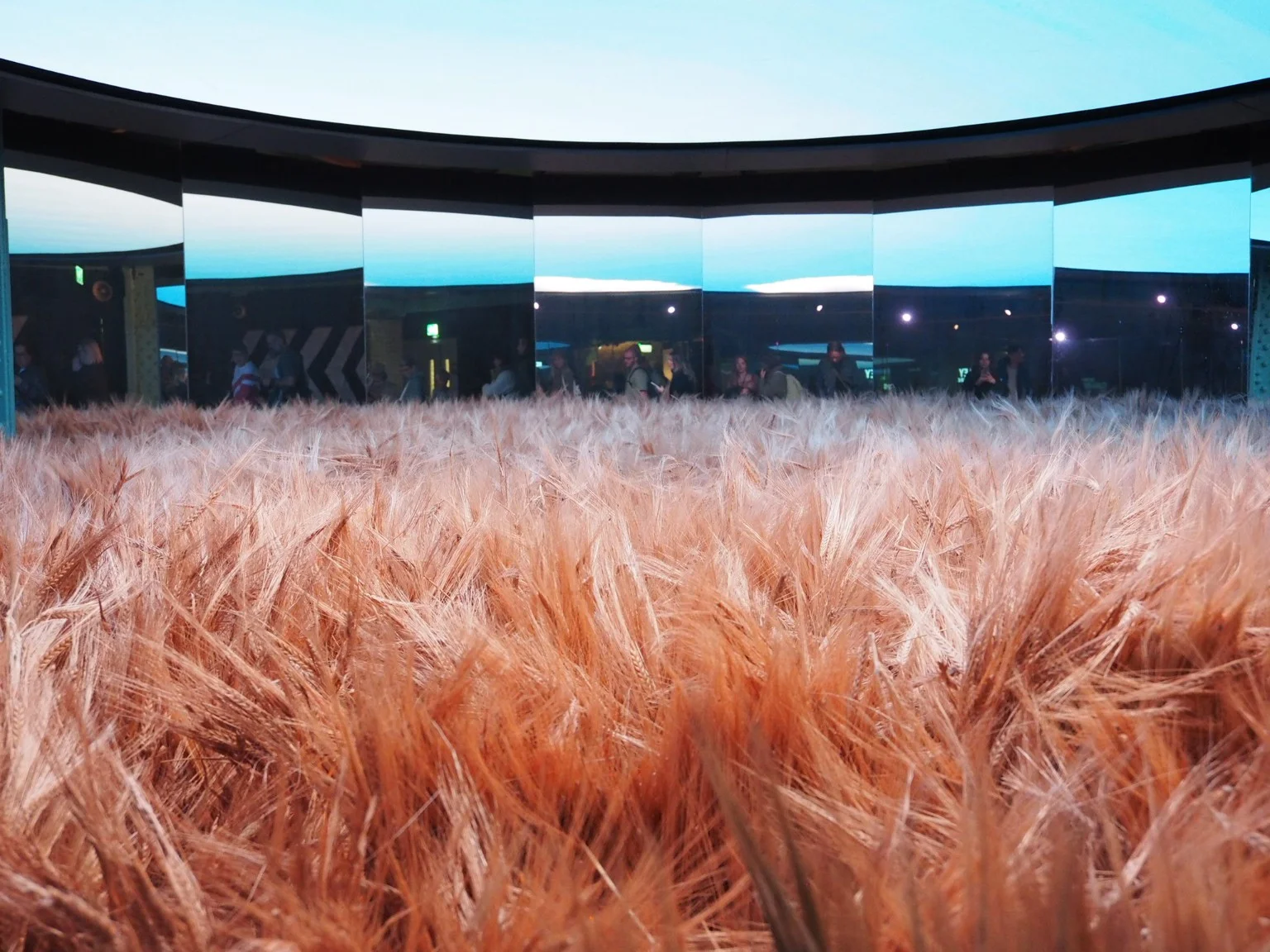 A golden barley display inside the Guinness Storehouse.